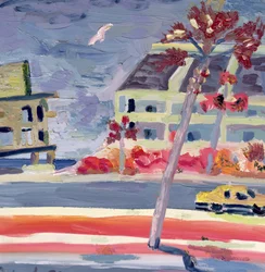 Inverno in Florida, 1998